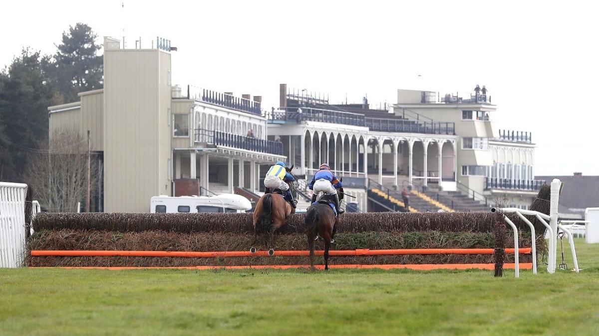 Horse racing at Ludlow 